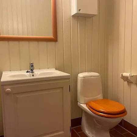 Ferienhaus Koselig Og Sentral Med Peis Og Badstue Beitostolen