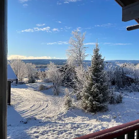 Ferienhaus Koselig Og Sentral Med Peis Og Badstue *